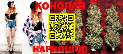 шишки Малгобек