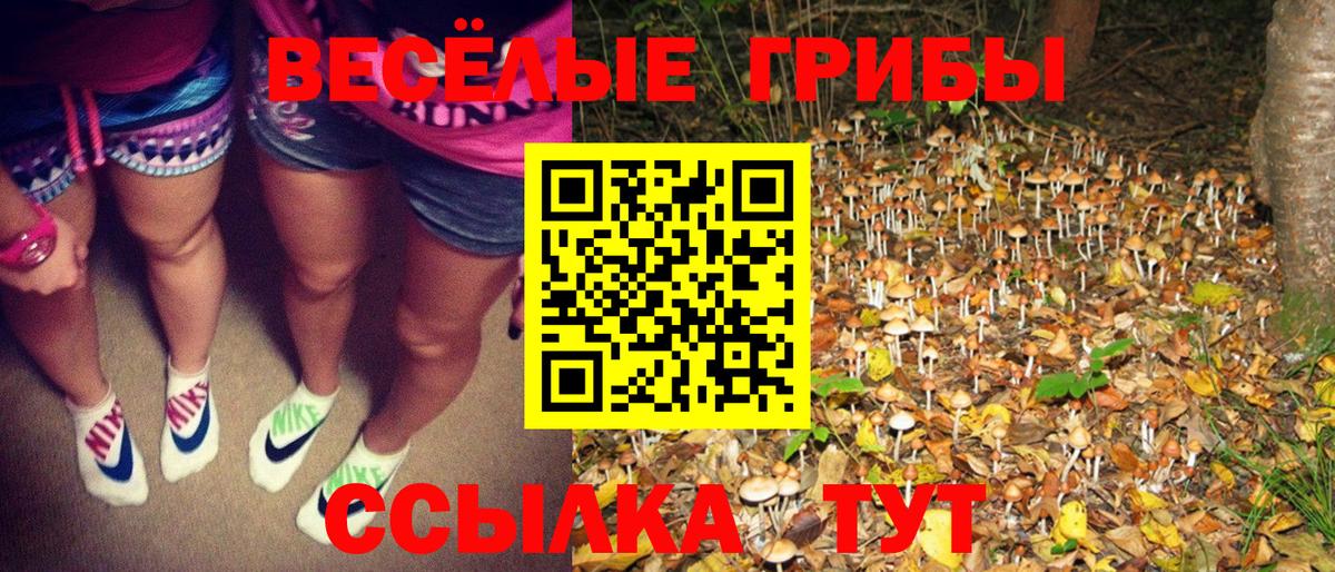 Будённовск  Псилоцибиновые грибы MAGIC MUSHROOMS  Вход с VPN  Псилоцибиновые грибы мухоморы 