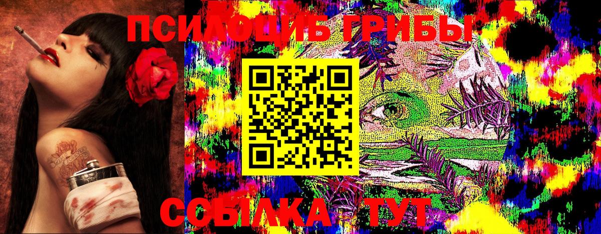 Галлюциногенные грибы Magic Shrooms Будённовск